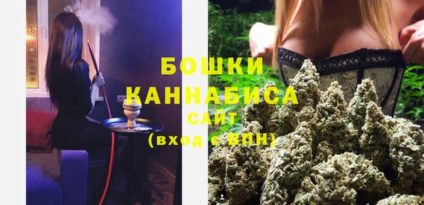 Альфа ПВП Белокуриха