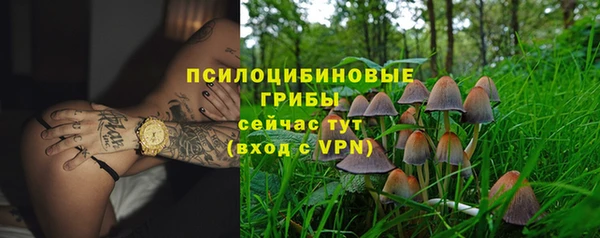 ешки Белоозёрский