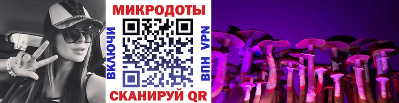 Галлюциногенные грибы Psilocybine cubensis Верхний Уфалей